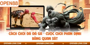 Cách Chơi Đá Đá Gà - Cuộc Chơi Phân Định Bằng Quan Sát
